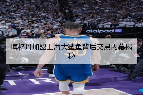 博格丹加盟上海大鲨鱼背后交易内幕揭秘